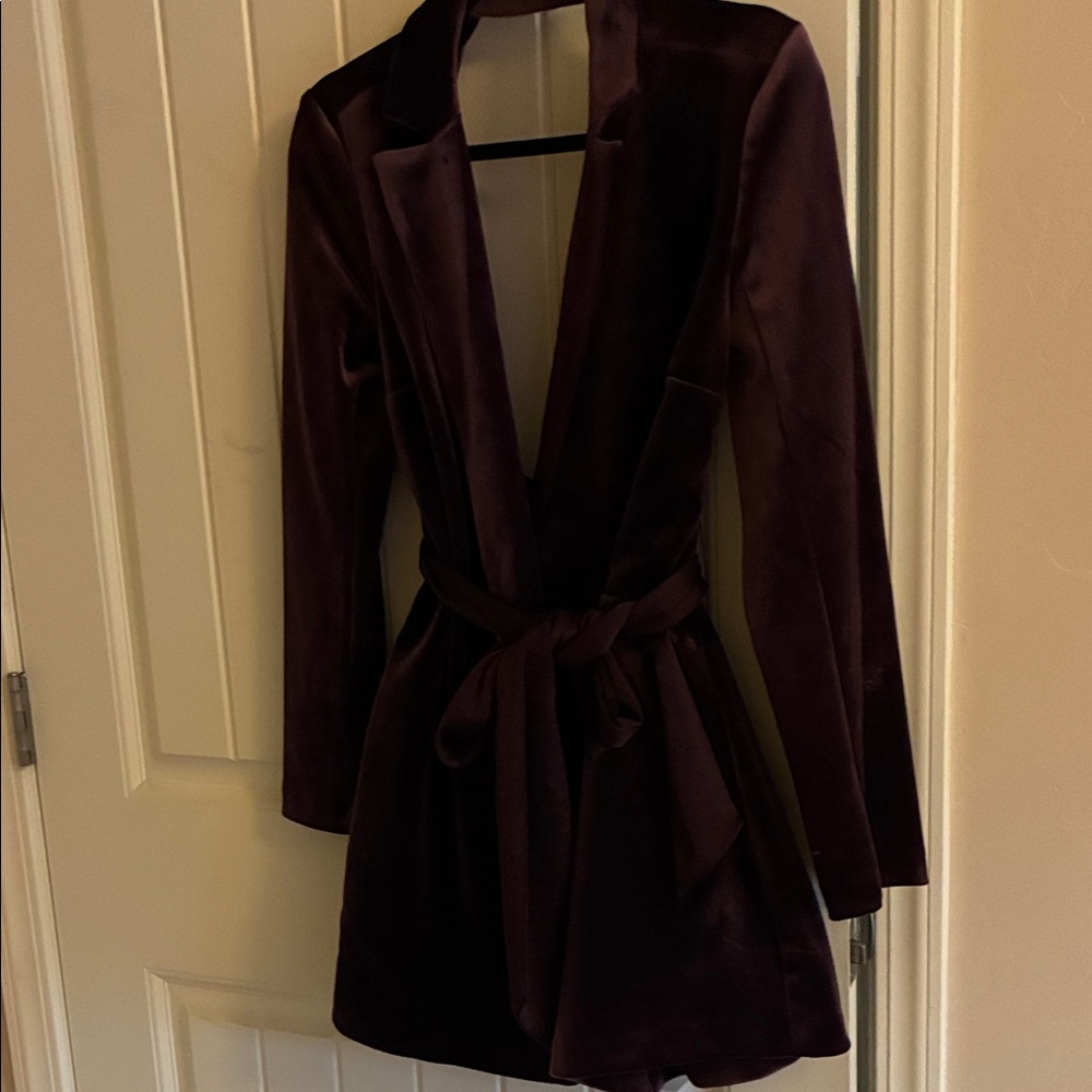Express Deep Purple Jumpsuit